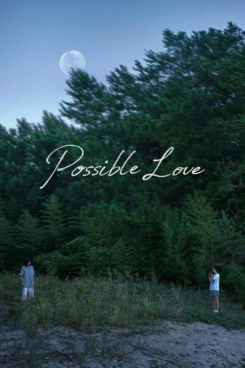 Possible Love 封面